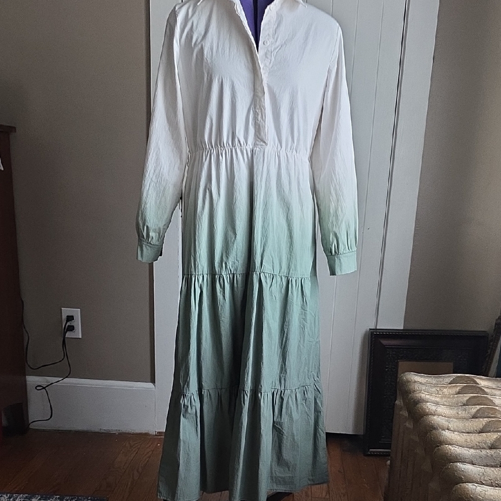 Chic Gradient Long Sleeve Dress